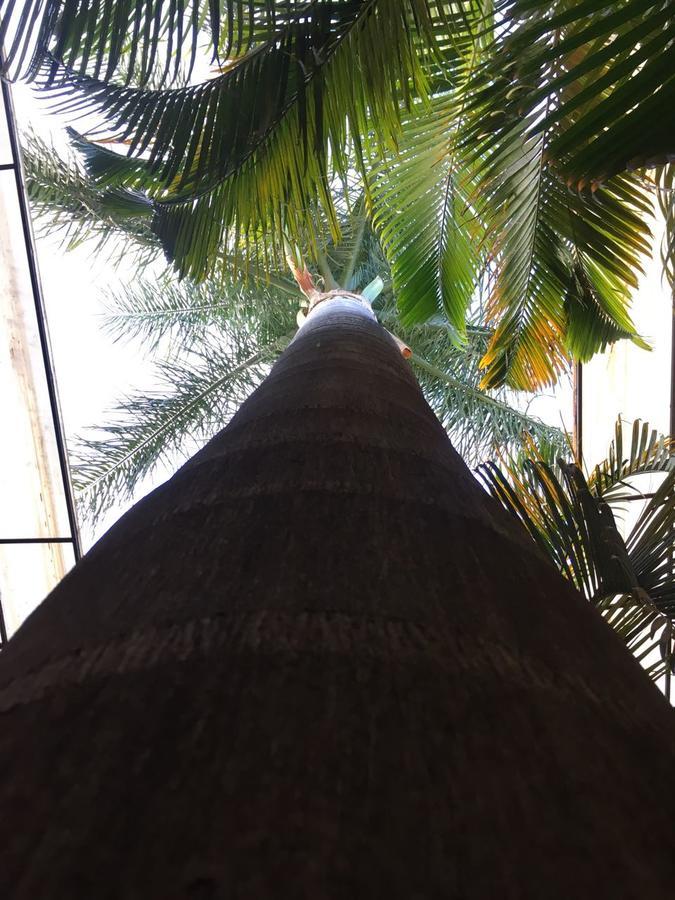 Hotel Tierra Del Sol Oaxaca Zewnętrze zdjęcie